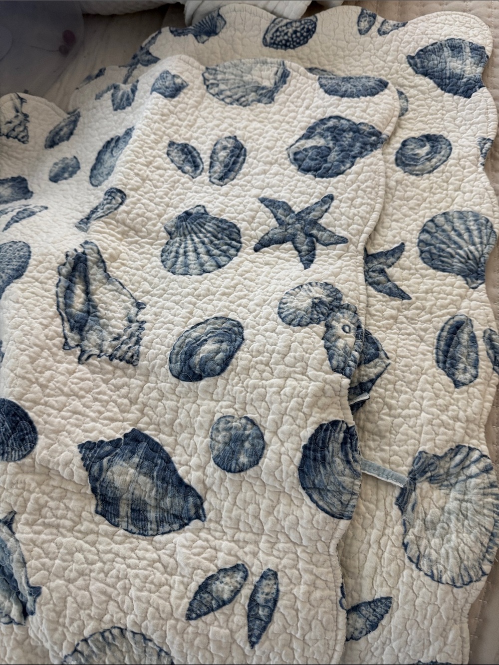 Source Unknown Blue and White Seashell Quilted Shams